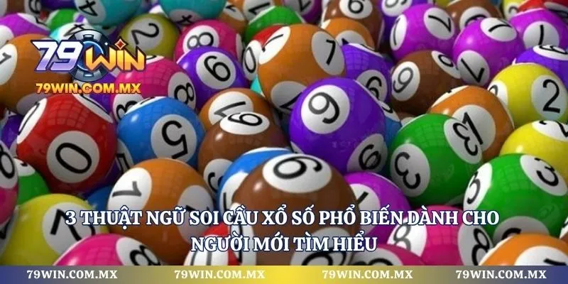 3 Thuật ngữ soi cầu xổ số phổ biến dành cho người mới tìm hiểu