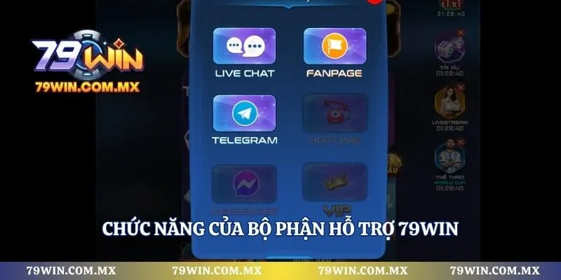 Chức năng của bộ phận hỗ trợ 79WIN