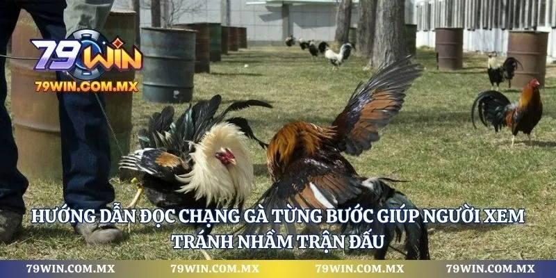 Hướng dẫn đọc chạng gà từng bước giúp người xem tránh nhầm trận đấu