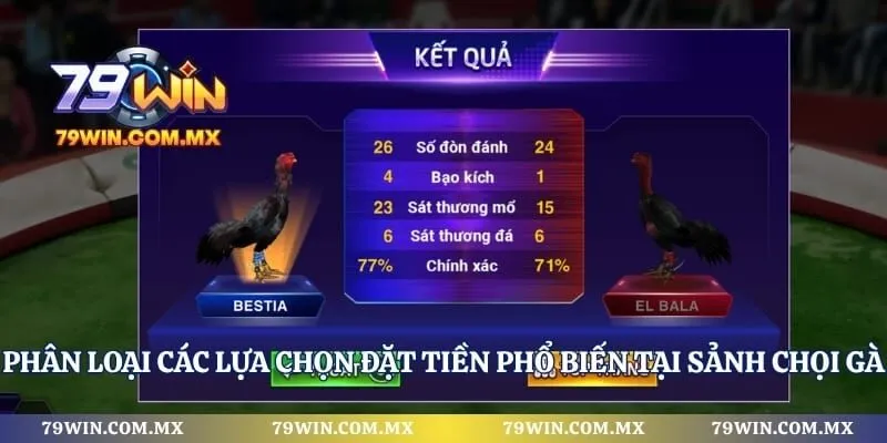 Phân loại các lựa chọn đặt tiền phổ biến tại sảnh chọi gà