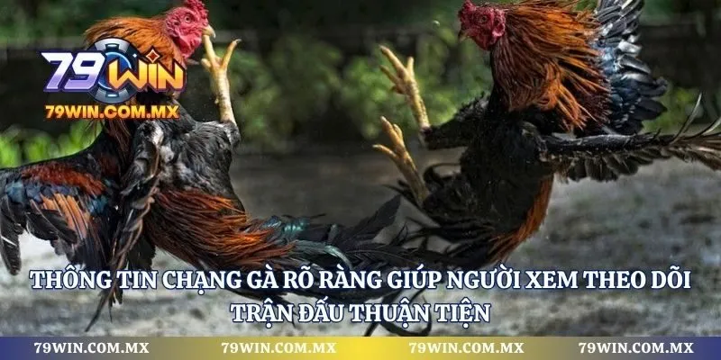 Thông tin chạng gà rõ ràng giúp người xem theo dõi trận đấu thuận tiện