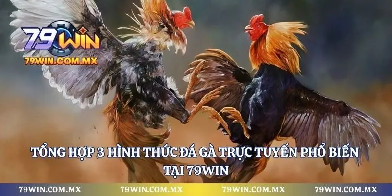 Tổng hợp 3 hình thức đá gà trực tuyến phổ biến tại 79WIN